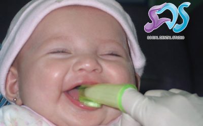 La higiene bucal de tu  bebé, clave para evitar   enfermedades