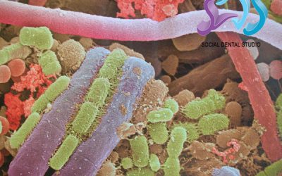 Placa bacteriana, placa dental o biofilm