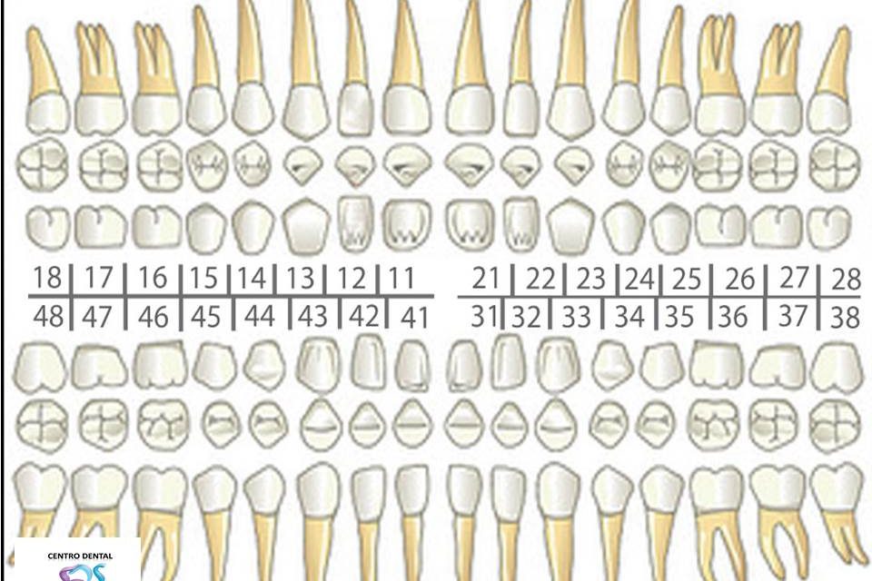 Dentistas en Chamberí Social Dental Studio Madrid Diapositiva1