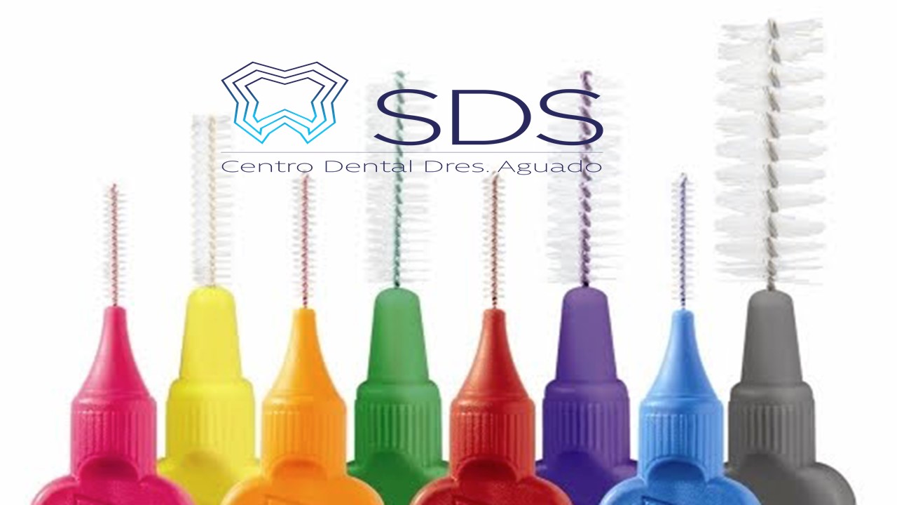 Presentación SDS